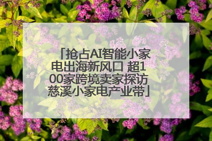 抢占AI智能小家电出海新风口 超100家跨境卖家探访慈溪小家电产业带