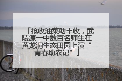抢收油菜助丰收，武陵源一中数百名师生在黄龙洞生态田园上演“青春助农记”