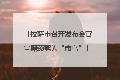 拉萨市召开发布会官宣黑颈鹤为“市鸟”