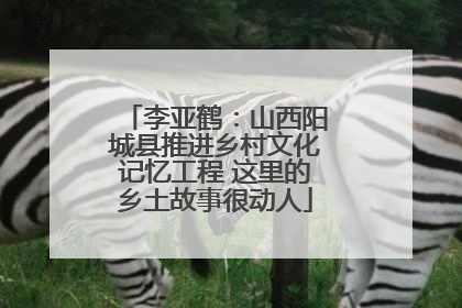 李亚鹤：山西阳城县推进乡村文化记忆工程 这里的乡土故事很动人