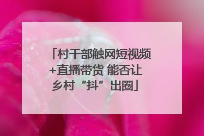 村干部触网短视频+直播带货 能否让乡村“抖”出圈