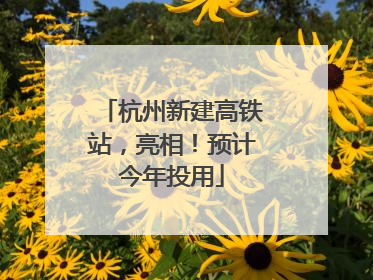 杭州新建高铁站，亮相！预计今年投用