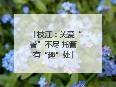 枝江：关爱“暑”不尽 托管有“趣”处
