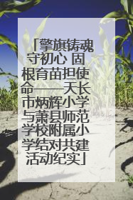 擎旗铸魂守初心 固根育苗担使命——天长市炳辉小学与萧县师范学校附属小学结对共建活动纪实