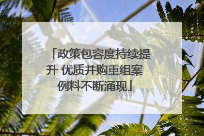 政策包容度持续提升 优质并购重组案例料不断涌现