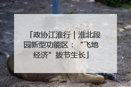 政协江淮行｜淮北段园新型功能区：“飞地经济”拔节生长