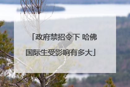 政府禁招令下 哈佛国际生受影响有多大