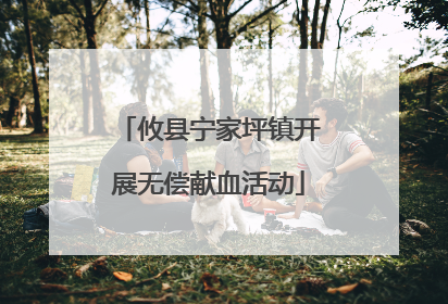 攸县宁家坪镇开展无偿献血活动