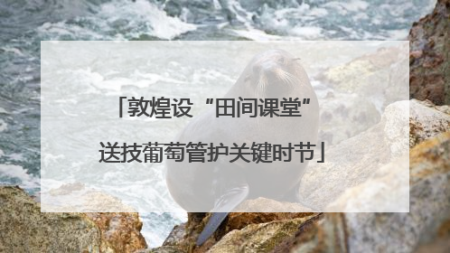 敦煌设“田间课堂” 送技葡萄管护关键时节