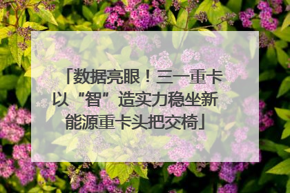 数据亮眼！三一重卡以“智”造实力稳坐新能源重卡头把交椅