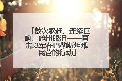 数次驱赶、连续巨响、呛出眼泪——直击以军在巴勒斯坦难民营的行动