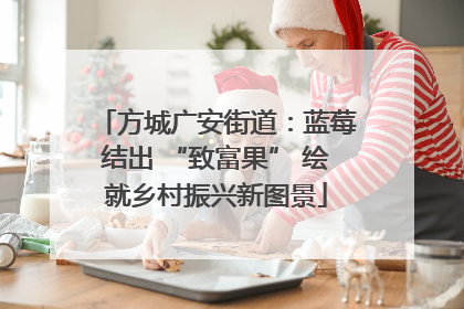 方城广安街道：蓝莓结出 “致富果” 绘就乡村振兴新图景
