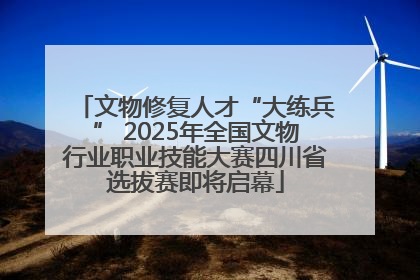 文物修复人才“大练兵” 2025年全国文物行业职业技能大赛四川省选拔赛即将启幕