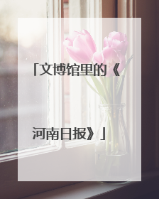 文博馆里的《河南日报》