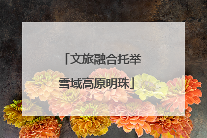 文旅融合托举雪域高原明珠