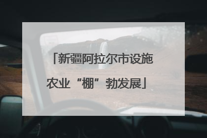 新疆阿拉尔市设施农业“棚”勃发展