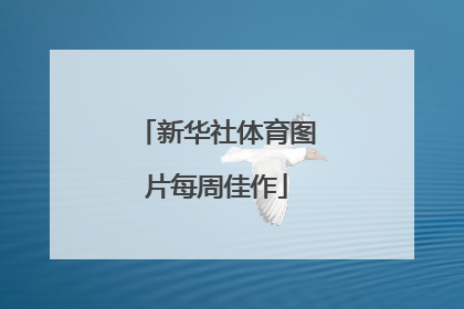 新华社体育图片每周佳作