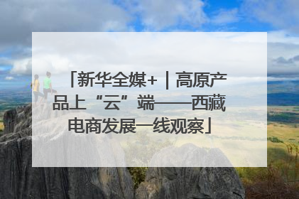 新华全媒+｜高原产品上“云”端——西藏电商发展一线观察