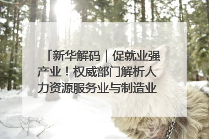 新华解码｜促就业强产业！权威部门解析人力资源服务业与制造业融合发展试点