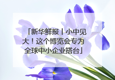 新华鲜报丨小中见大！这个博览会专为全球中小企业搭台