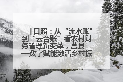 日照：从“流水账”到“云台账”看农村财务管理新变革，莒县——数字赋能激活乡村振兴“一池春水”