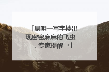 昆明一写字楼出现密密麻麻的飞虫，专家提醒→