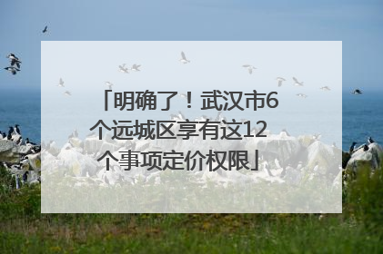 明确了！武汉市6个远城区享有这12个事项定价权限