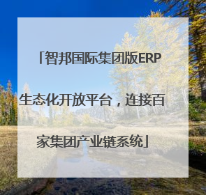 智邦国际集团版ERP生态化开放平台，连接百家集团产业链系统