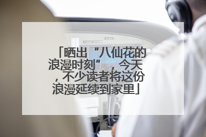 晒出“八仙花的浪漫时刻”，今天，不少读者将这份浪漫延续到家里
