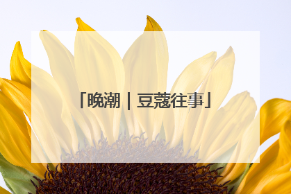 晚潮｜豆蔻往事