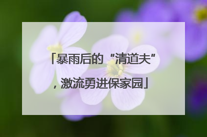 暴雨后的“清道夫”，激流勇进保家园