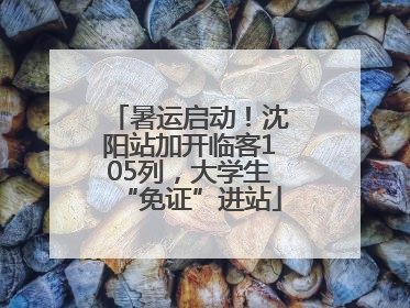 暑运启动！沈阳站加开临客105列，大学生“免证”进站