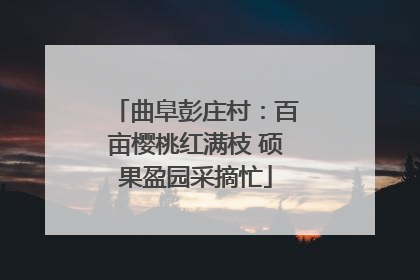曲阜彭庄村：百亩樱桃红满枝 硕果盈园采摘忙