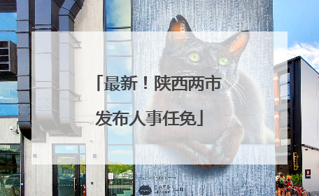 最新！陕西两市发布人事任免