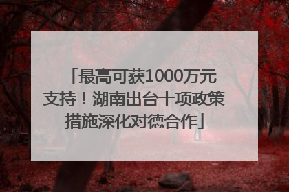 最高可获1000万元支持！湖南出台十项政策措施深化对德合作