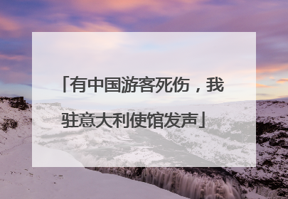 有中国游客死伤，我驻意大利使馆发声