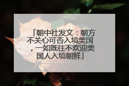 朝中社发文：朝方不关心可否入境美国，一如既往不欢迎美国人入境朝鲜