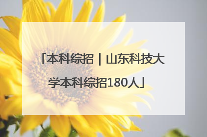 本科综招｜山东科技大学本科综招180人