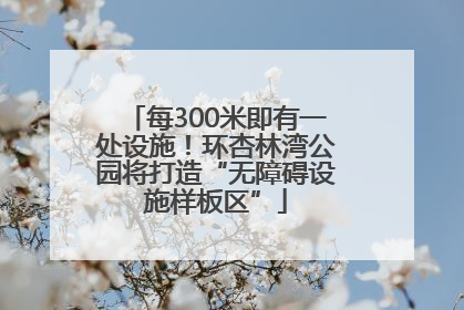 每300米即有一处设施！环杏林湾公园将打造“无障碍设施样板区”