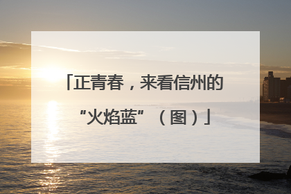 正青春，来看信州的“火焰蓝”（图）