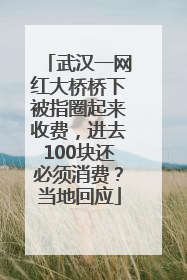 武汉一网红大桥桥下被指圈起来收费，进去100块还必须消费？当地回应