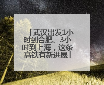 武汉出发1小时到合肥、3小时到上海，这条高铁有新进展