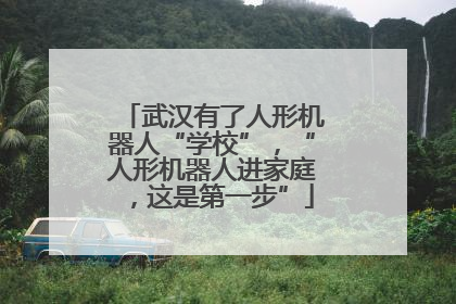 武汉有了人形机器人“学校”，“人形机器人进家庭，这是第一步”