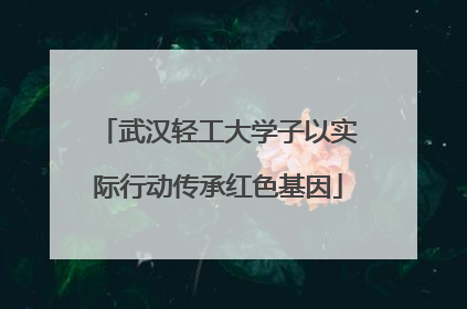 武汉轻工大学子以实际行动传承红色基因