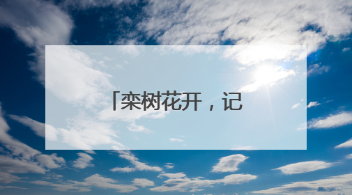 栾树花开，记录夏日浪漫