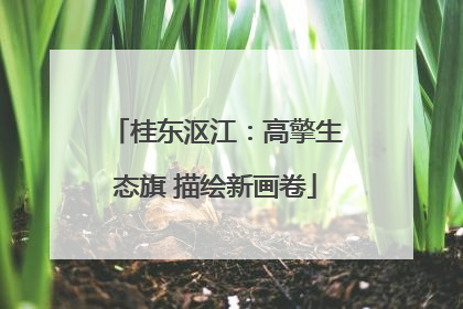 桂东沤江：高擎生态旗 描绘新画卷