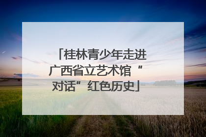 桂林青少年走进广西省立艺术馆“对话”红色历史