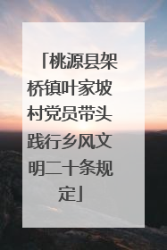 桃源县架桥镇叶家坡村党员带头践行乡风文明二十条规定