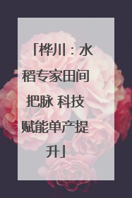 桦川：水稻专家田间把脉 科技赋能单产提升