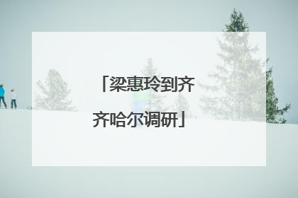梁惠玲到齐齐哈尔调研